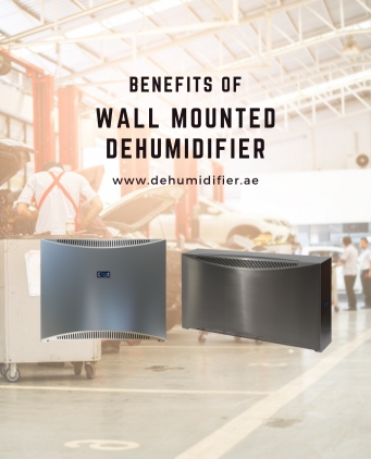 Wall dehumidifier
